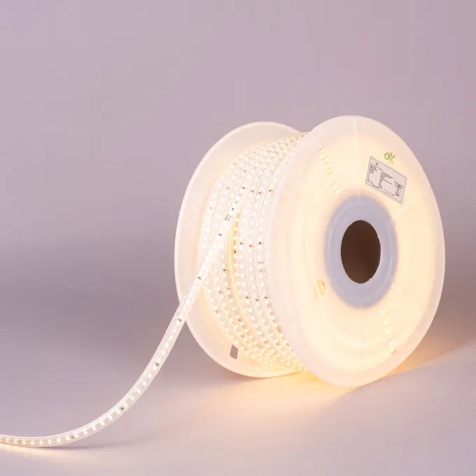 Designer Ceiling Lights